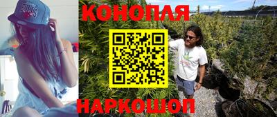 бошки Будённовск