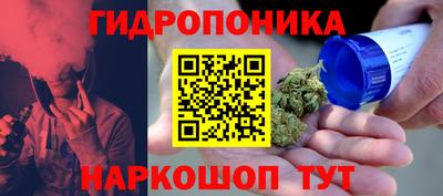 шишки Бугуруслан