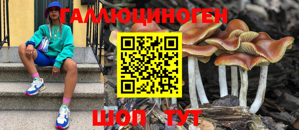 Галлюциногенные грибы Psilocybine cubensis  Вход с VPN  Псилоцибиновые грибы MAGIC MUSHROOMS  Тобольск 